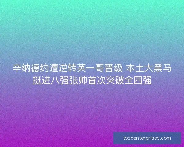 辛纳德约遭逆转英一哥晋级 本土大黑马挺进八强张帅首次突破全四强