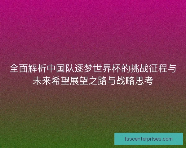 全面解析中国队逐梦世界杯的挑战征程与未来希望展望之路与战略思考