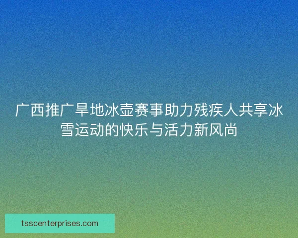 广西推广旱地冰壶赛事助力残疾人共享冰雪运动的快乐与活力新风尚