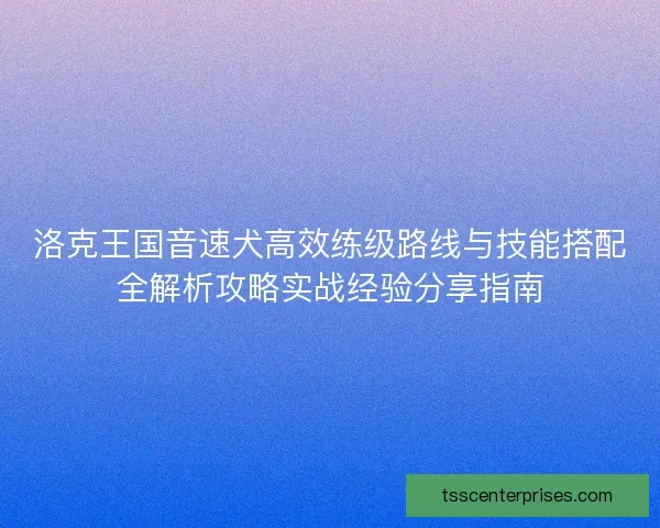 洛克王国音速犬高效练级路线与技能搭配全解析攻略实战经验分享指南